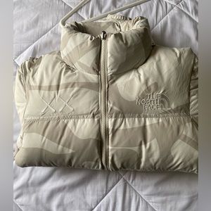 The Northface Puffer X KAWS